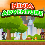 Ninja adventure